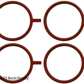 BECK ARNLEY INT MANIFOLD GK