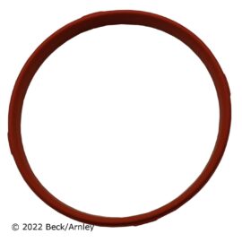 BECK ARNLEY THROT BODY GKT