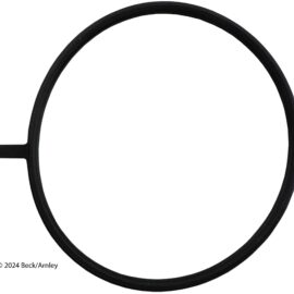 BECK ARNLEY THROTTLE BODY G