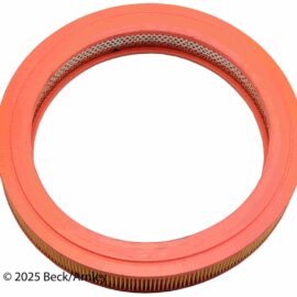 BECK ARNLEY AIR FILTER