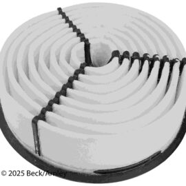BECK ARNLEY AIR FILTER