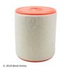 BECK ARNLEY AIR FILTER