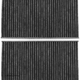 BECK ARNLEY CABIN AIR FILTR