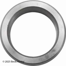 BECK ARNLEY WHEEL BRG RETNR