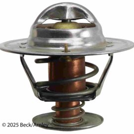 BECK ARNLEY THERMOSTAT