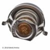 BECK ARNLEY THERMOSTAT