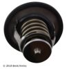 BECK ARNLEY THERMOSTAT