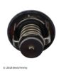 BECK ARNLEY THERMOSTAT