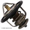 BECK ARNLEY THERMOSTAT