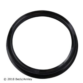 BECK ARNLEY FUEL TANK SEAL