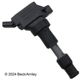 BECK ARNLEY DIRECT IGNITION