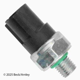 BECK ARNLEY OIL PRESS SWI