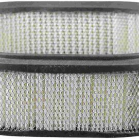 BALDWIN FILTERS AIR FILTER