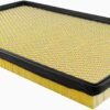 BALDWIN FILTERS AIR FILTER