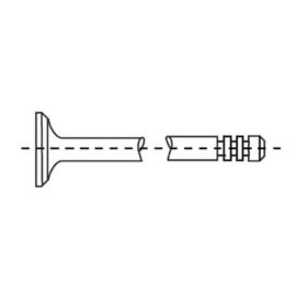 CORTECO INTAKE VALVE