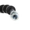CENTRIC PARTS BRAKE HOSE
