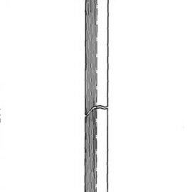 CENTRIC PARTS BRAKE HOSE