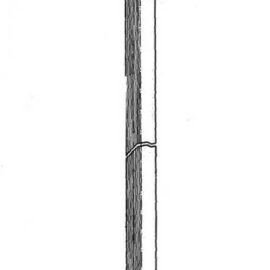 CENTRIC PARTS BRAKE HOSE