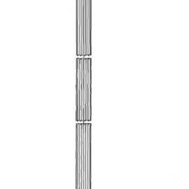 CENTRIC PARTS BRAKE HOSE