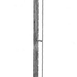 CENTRIC PARTS BRAKE HOSE