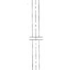 CENTRIC PARTS BRAKE HOSE
